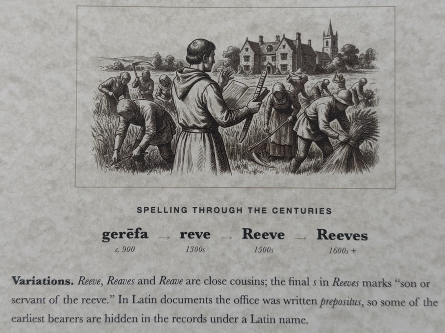 The meaning page of a Surname History Pack, showing how the name Reeves was spelt through the centuries